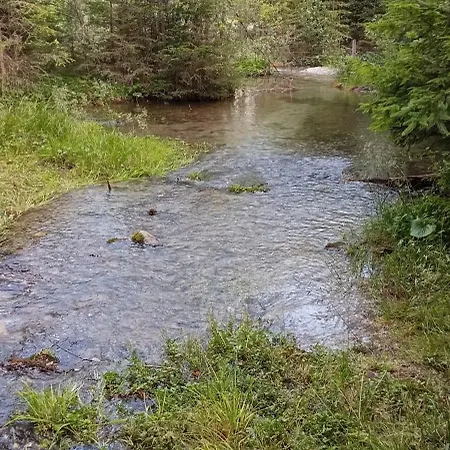 Appartement Hohengassner