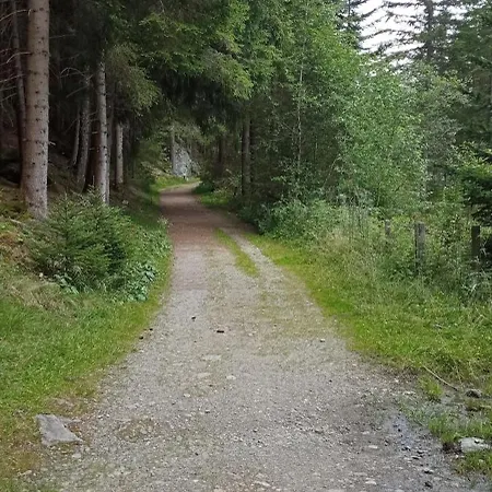 Hohengassner Apartamento Mariapfarr
