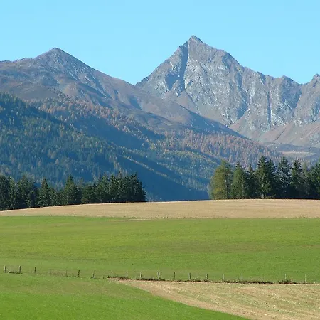 Hohengassner アパート