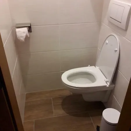Apartment Hohengassner *
