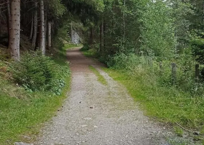 Hohengassner 아파트 마리아프파르