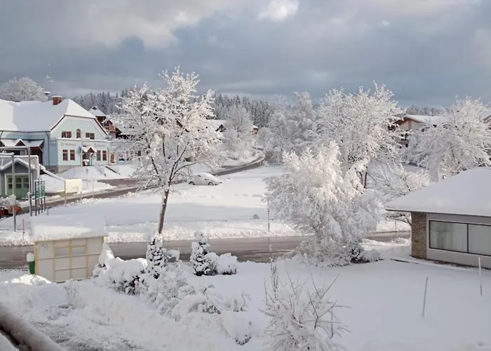 아파트 Hohengassner 마리아프파르